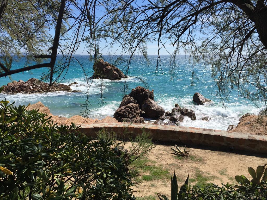 Dionysos Vue Mer Cannes Room photo