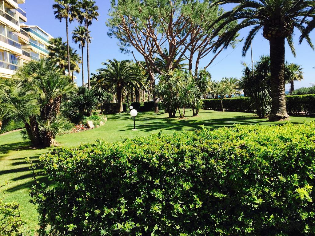 Dionysos Vue Mer Cannes Room photo